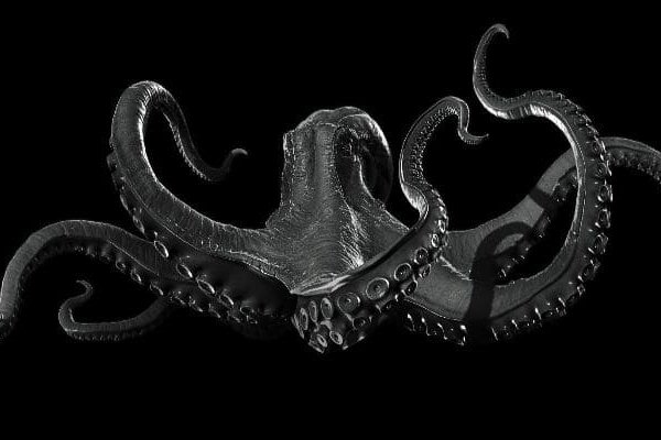 Kraken13.at